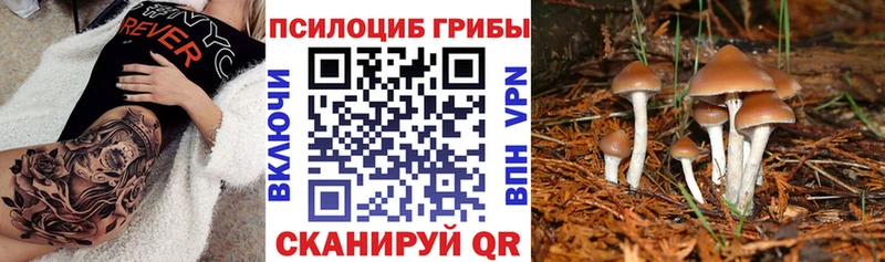 закладка  Рузаевка  Галлюциногенные грибы ЛСД 